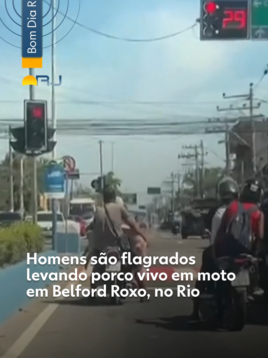 #RiodeJaneiro - Dois homens foram flagrados levando um porco vivo em uma motocicleta em Belford Roxo, na Baixada Fluminense. O animal estava visivelmente desconfortável, com as patas amarradas e tentando se soltar. Ele se debatia enquanto o homem que estava na garupa o segurava pelas orelhas. Os ocupantes da moto estavam sem capacete. A Prefeitura de Belford Roxo disse que não fez o flagrante, mas vai analisar as imagens para tomar providências. E disse que o condutor da moto cometeu uma infração média, com perda de 4 a 5 pontos na habilitação. Clique em 'leia o artigo' para ler a reportagem completa. #BomDiaRio #g1local #g1 #tiktoknotícias