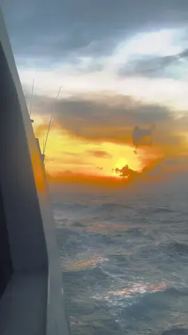 ##jalesvevajayamahe #sunset 