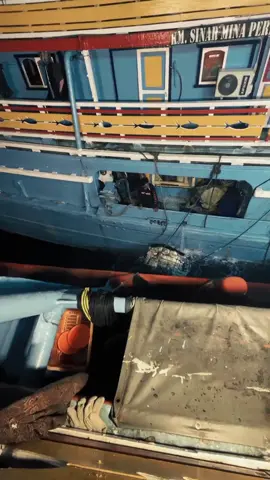 #monsterlautindonesia #nelayanjuwanapati  #juwanapati  #monsterlaut45  #pati24jam 