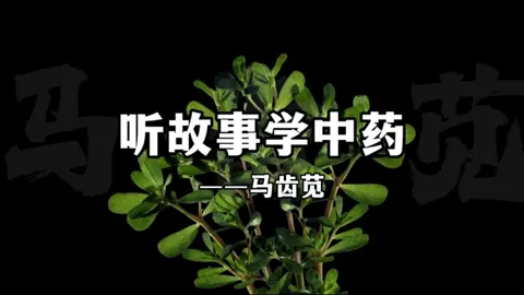 #植物 #中醫 #養生 #中醫養生 聽故事學中藥，今天講馬齒莧的故事。
