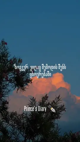 ზოგჯერ ვიღაც შემოდის შენს ცხოვრებაში …#პრინცისდღიური #ფორიუ #ფრაზები #princediary (სურვილის და მხარდაჭერის შემთხვევაში დონაციის ლინკი ჩემს ბიოშია ❤️✅)