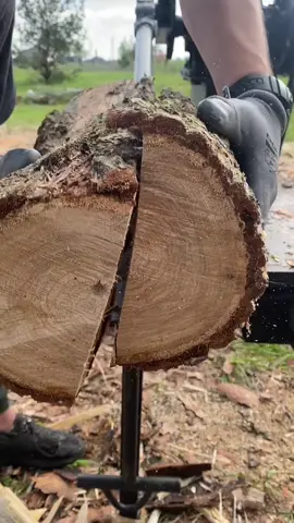 splitting oak and pine logs, on a wood splitter🪵🦾🤖#woodcutter #woodworking #wood #pine #oak 
