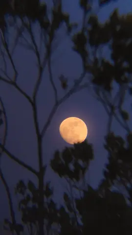 Cantik bngt🌔🫠