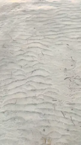 Best captured sunset in my life #beach #fyppppppppppppppppppppppp #fyp #dinagatisland #sunset 