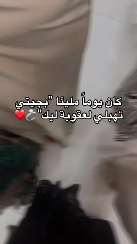 #اعراس_جزائرية #الجزائر_تونس_المغرب #شعب_الصيني_ماله_حل😂😂 #اكسبلور #اكسبلورexplore 