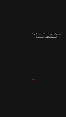 المسيرة الفاطميه الســـنوية...  .  .  #انين_الحُسين #اعادة_النشر🔃 #موكب_شهيد_الجمعة_الحسيني_سوقالشيوخ #المسيرة_الفاطمية_السنوية #اللهم_عجل_لوليك_الفرج 