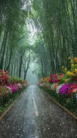 #癒し動画 #Healingscenery #雨 #nature 