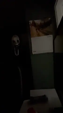 I keep seeing it #horrortok #costumes 