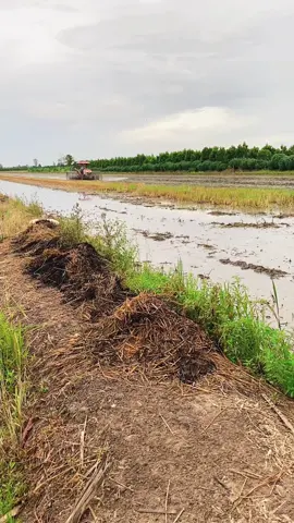 Nghe đồn bầy 50 của @𝓗𝓾̛𝓸̛̉𝓷𝓰 𝓴𝓾𝓫𝓸𝓽𝓪62𝓔  vip lắm phải hông bơi hết vào đây ✅📸🚜#kubotal5228dt🚜 #xuhuongtiktok #fyp @Nhân mỡ 62E1 @Văn Hiển 