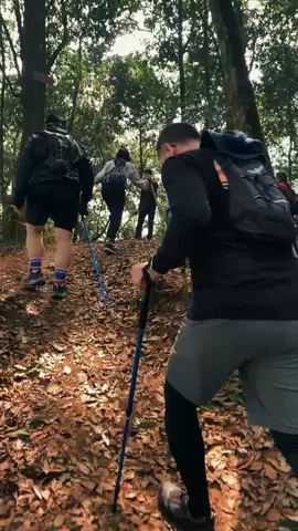 Berceritalah semua dalam dekapan alam