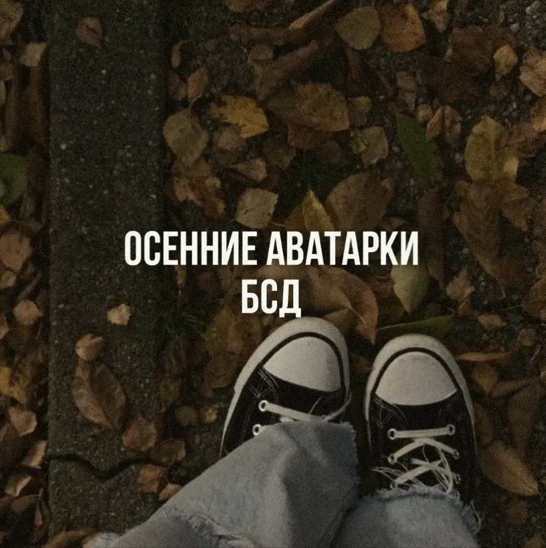 #бсд #бродячиепсы #бродячиепсылитературныеыегении #великийизбродячихпсов #bsd #bungoustraydogs #рек #рекомендации #fyp #fypシ #аватарки #бсдаватарки 