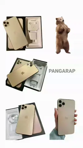 #iphone11promax #iphone11 #promax #silver #pangaraplangkita 