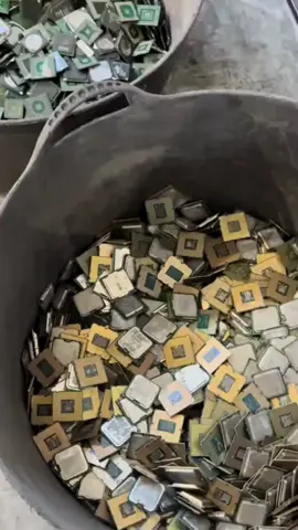 CPU and RAM scrap available in bulk +1 (945) 206‑0511. #LanguageLearning #CPUscrap #Ewaste #Recycling #TechRecycling #PreciousMetals #SustainableTech #EwasteRecycling #GoldRecovery #TechWaste #RecycledMaterials #olebrandselect 