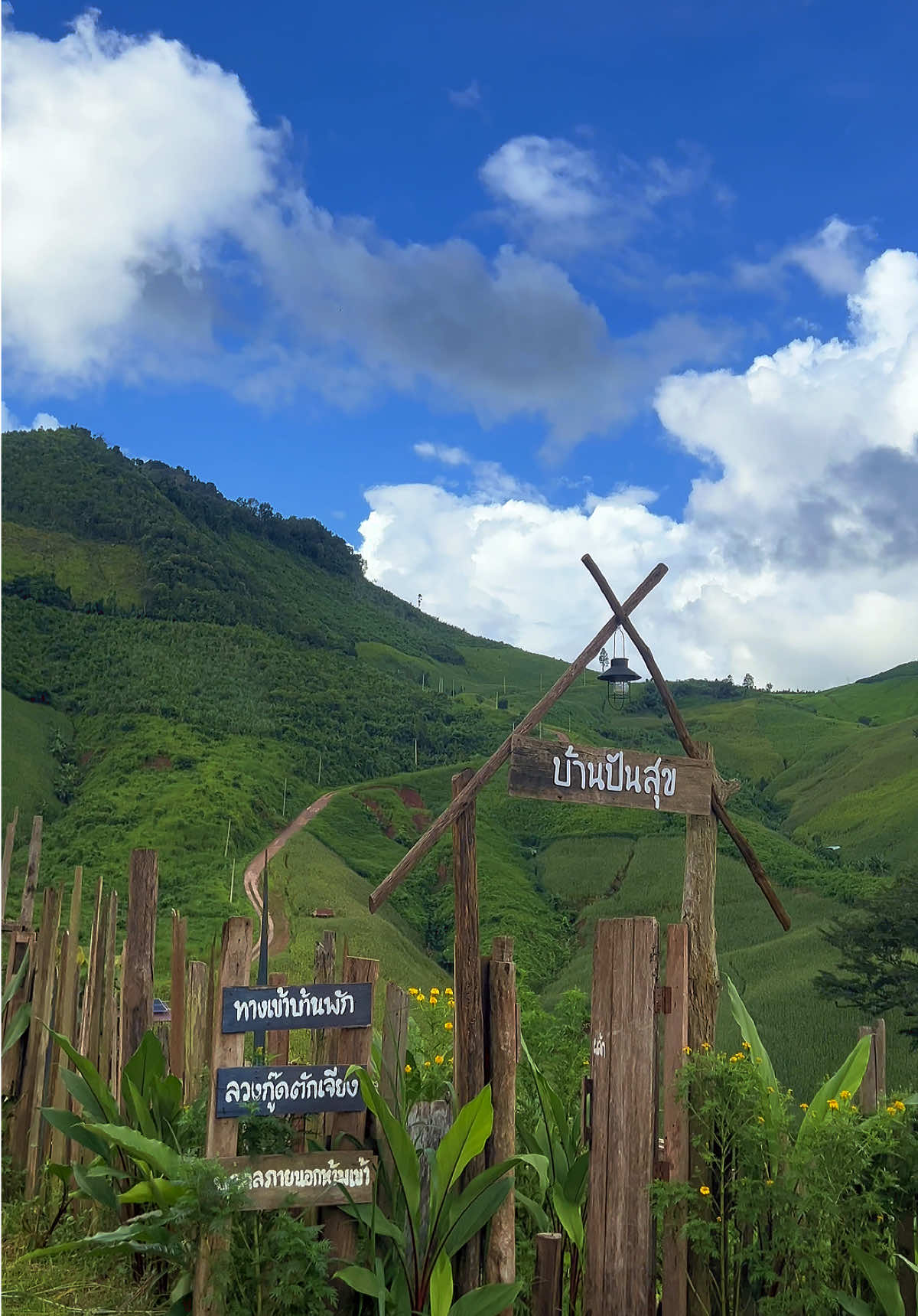 บ้านปันสุข🥰🏞️💚#เที่ยวน่าน #น่านหน้าฝน #สะปัน #ห้วยหมี #น่านล่าสุด 