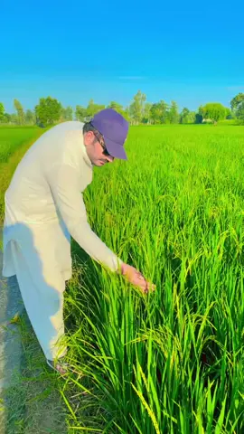 #viral #video #viraltiktok #alfatah 