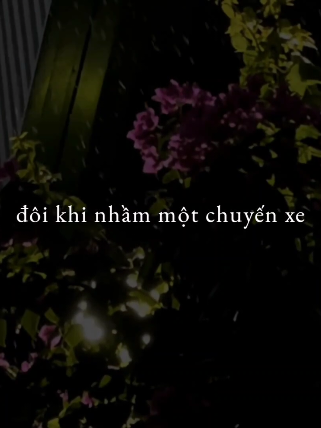 Đôi khi nhầm một chuyến xe❤️‍🩹...