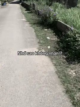 #minhkhai 