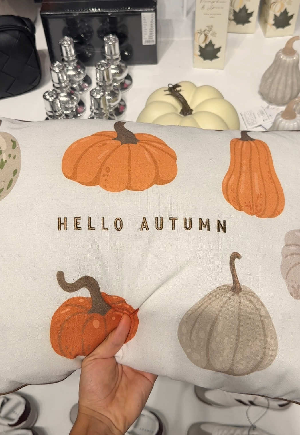 finalmente! non vedevo l’ora di vedere e prendere tutte queste decorazioni autunnali 🧺🍁🥹 #autumnshopping #fallshopping #falldecor #autumn #autunno 