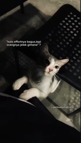 #foryou #4youpage #lano 