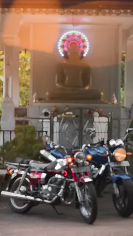 එකම පරම්පරාවෙ උදවිය 💀💙❤️  #cd200roadmaster #Honet #foryoupage #viralvideo #fyppppppppppppppppppppppp  @Akash Hettiarachchi @(◕‿↼) 𝓢𝓪𝓷𝓲__𝔂𝓪 @Arjuna @P O D I Y A  ⚰️☠️🧑‍🍳 @C𝓱𝓪𝓵𝓲𝓷𝓭𝓾🪐 @Dileka @Dimantha🤍 @@_Sashith @cdlover.s  