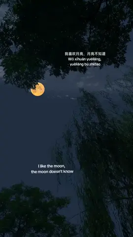 我喜欢月亮，月亮不知道 #legendofthefemalegeneral #chinesedrama #zhouye #chenglei #dramachina 