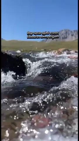 Сенде эле го аруу тазалык,айланайын алтын балалык!