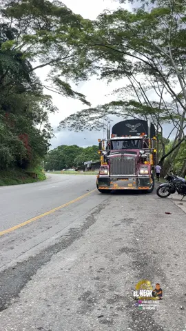 ##tractomulasdecolombia #tractomulascolombia🇨🇴🚚😍 #soloexotiqueo🍓🔥 #ruta40 #truck 