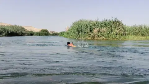 @احمد الحوت @عمر السباح 🏊‍♂️ @حسين السباح @حمودي 