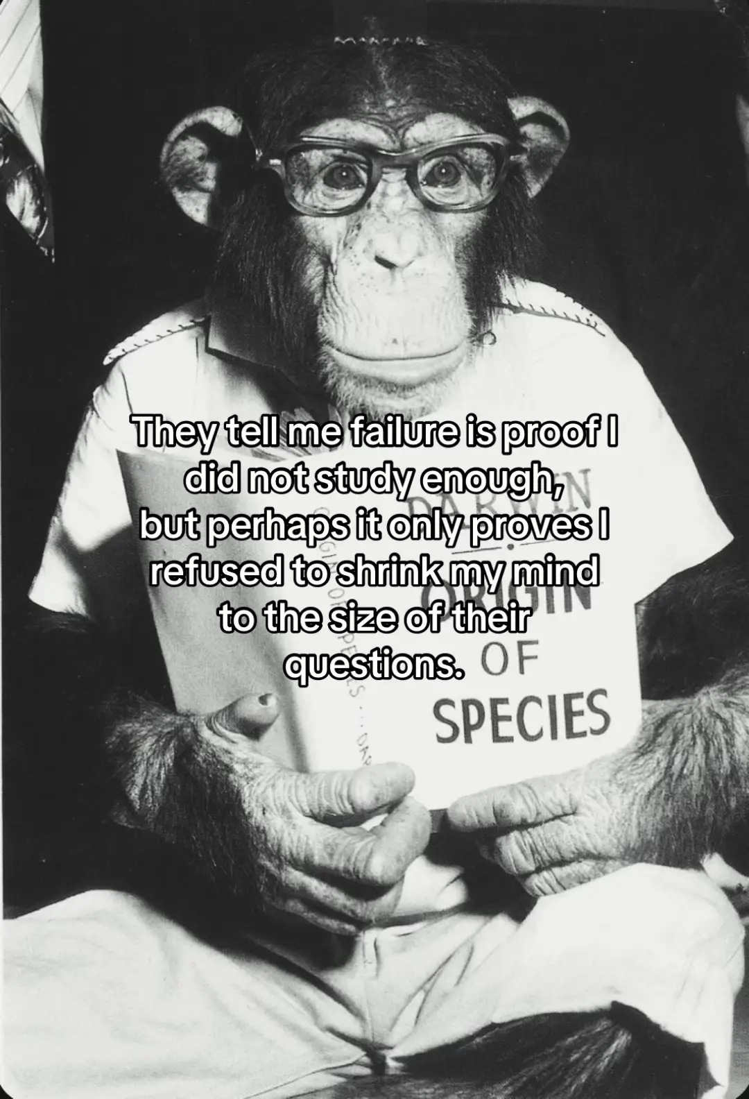 #monkeytrend #philosophy #monkey #school 
