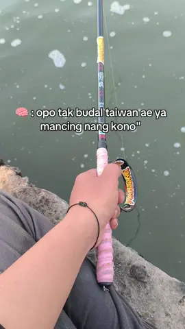 ikan habis .  #fypage #mancingliar #jogjastyle #tegekmurah #microfishing 