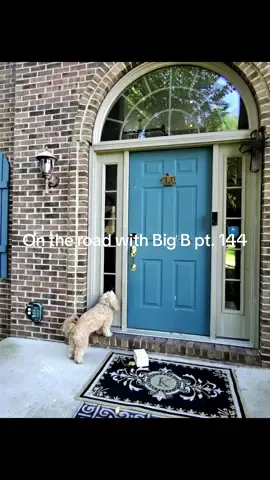 I know that ring camera footage was funny as hell😂😂 #foryoupage #amazondriver #amazon #metaglasses #dogsoftiktok 