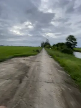 Chắc máy anh hok đánh bản quyền đâu #baophan #72open 