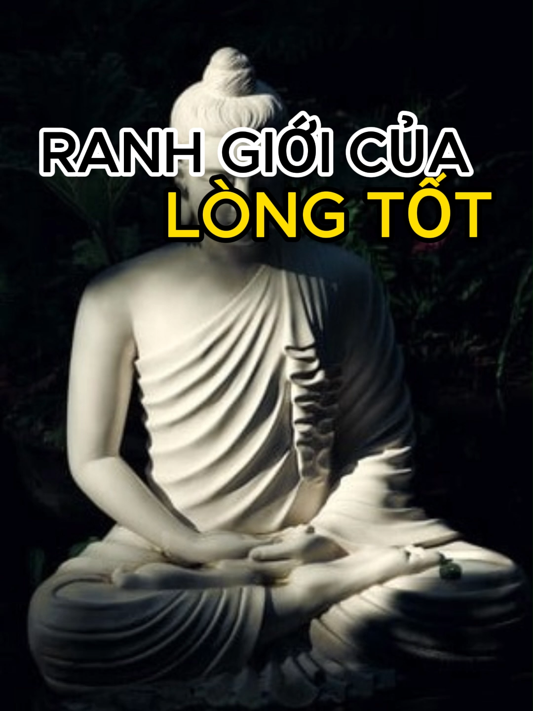 Ranh giới của lòng tốt. #songchamtamtinh #ranhgioi  #longtot