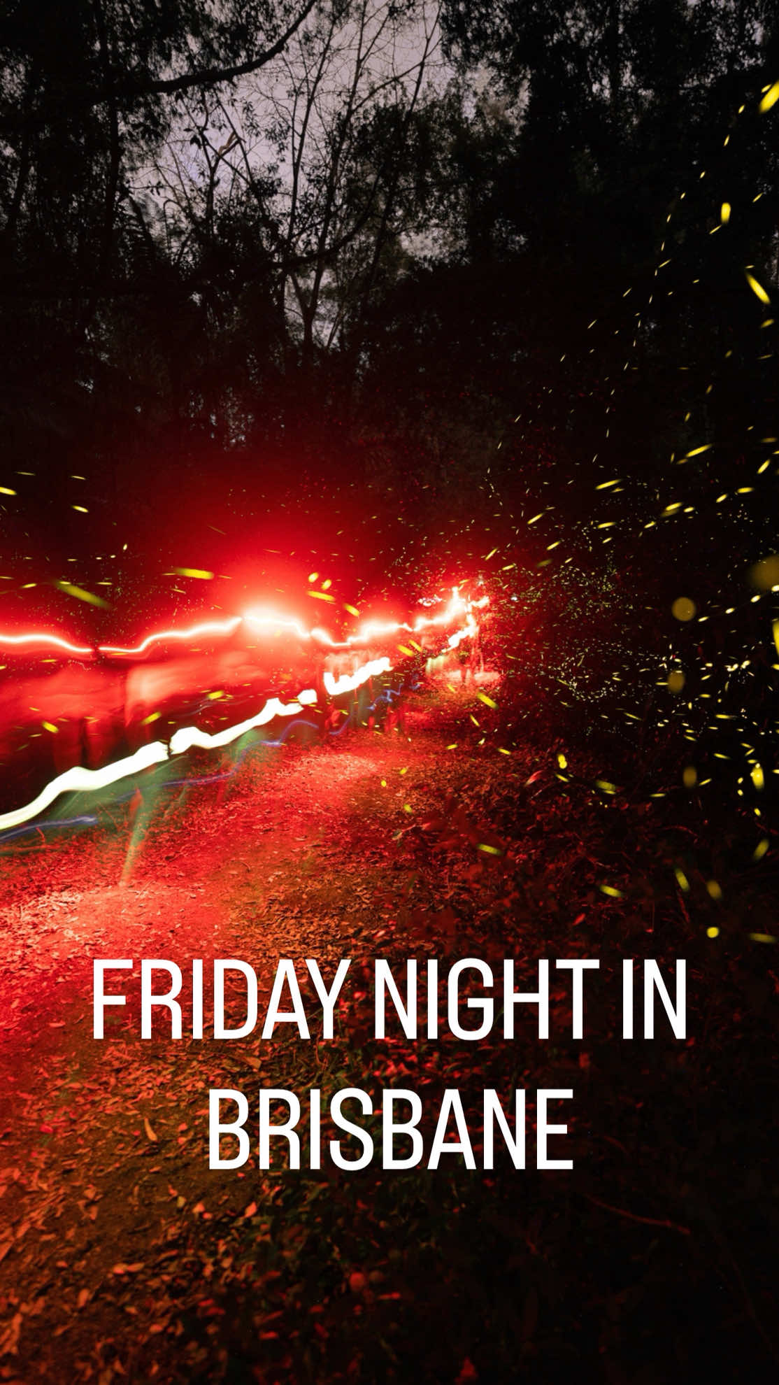 Are you in this time lapse video from the #firefly display in #brisbane on Friday night? Comment below 👇 . . . . . #bioluminescence #queensland #stemfeed 