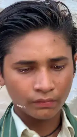 سیمی ساغر طوطا دیپال پور چک پھلر و ن کمبو ہ