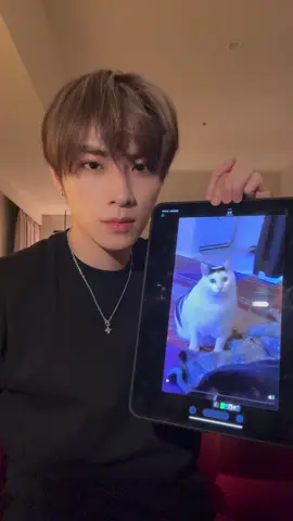 Some of the sounds you hear a lot#xiaojun #肖俊 #샤오쥔 