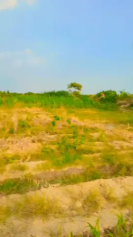 #for #you #page #viral #a #video #ff #yy #pp #vv #aa #vv #viral #a #video #@Abid Hussain Palari Ajbani 👑 @D R .Nadir Ali Ajbani Palari @💖Mr sajid💖 @rasheed palari .