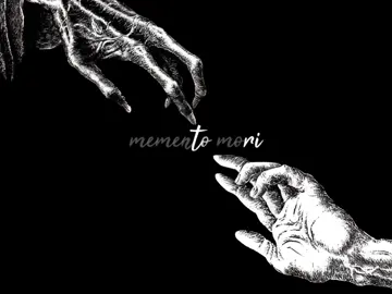 animations from @kwasi.aep  #shadowslave #sunless #webnovel #shadowslavenovel 