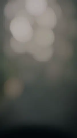 #CapCut 