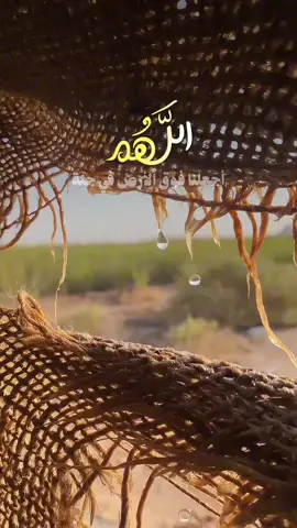 #CapCut  #اللهم أجعلنا فوق الأرض في جنة وتحت الأرض في جنة  ويوم العرض يا رب العالمين في جنة ‏اللهم أصلح نيّاتنا وذريّاتنا اللهم لا تفجع والداً بولده رُدّ أبنائنا وأبناء المسلمين#fyp #قوالب_كاب_كات #يوم_الجمعه_خيرا_من_كل_يوم 