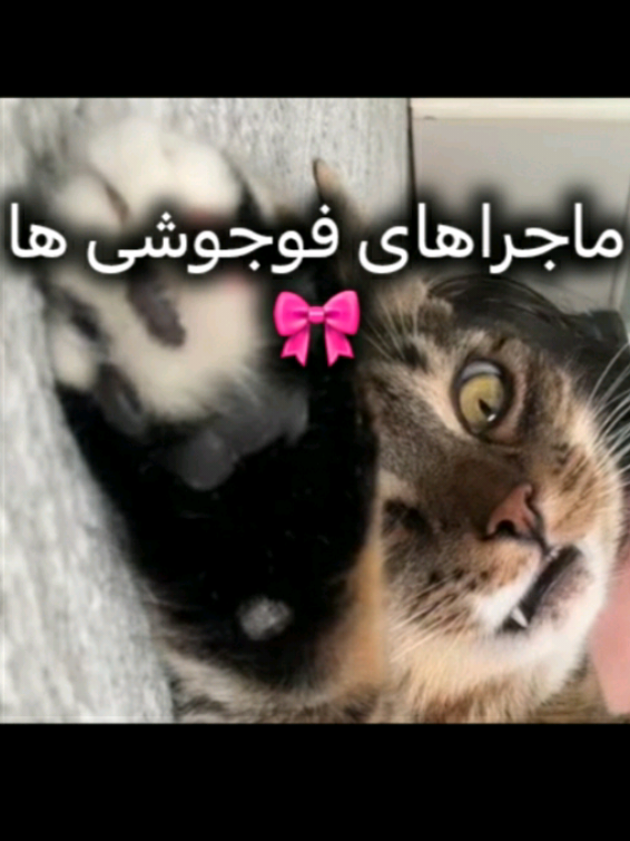 قیافش اینجوریه که: بس کن زنیکهه😤🤣 #بی_ال #فوجوشی #فوریو #فوریوپیج #desire 