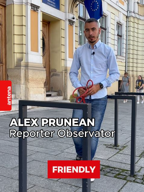 Cu cainele, pisica sau papagalul in institutiile statului. Cluj, primul oras care declara institutiile locale 