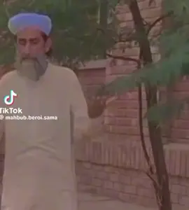 طوطا نے دیوبندیوں کو معافی مانگ لیئے ہیں 😆😆