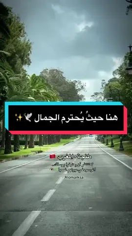 كل زاوية هنا تُهمس: 'الجمال قرار.. والذوق ثورة!'