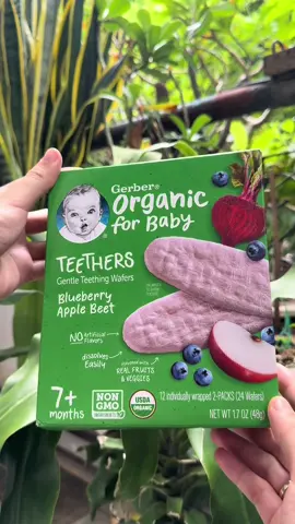 Bánh ăn dặm Gerber bé nhà e thích lắm. Link e để trong giỏ hàng ạ #mebimreview #trending #viral #banhandam #xuhuongtiktok 