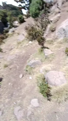 tektok Lompobattang sukses #pendakigunung #lompobattang2874mdpl #pendakigunung #tektok #fyppppppppppppppppppppppp 