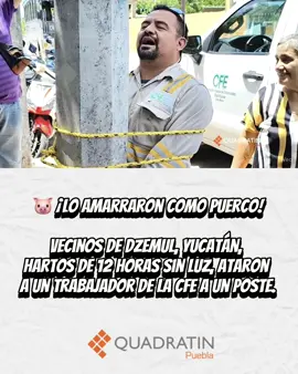 🐷⚡ ¡Increíble en Yucatán! Vecinos de Dzemul estuvieron más de 12 horas sin energía eléctrica y, cansados de la situación, amarraron a un trabajador de la CFE a un poste de luz. El hecho ya es viral en México y genera debate: ¿protesta justa o abuso? 🤔 #Yucatán #CFE #NoticiasMéxico #SinLuz #Viral