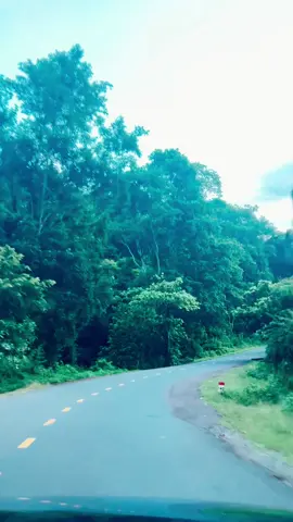 Hơn 100 năm trước, đây chỉ là con đường mòn của người K’Ho sử dụng để vận chuyển sản vật xuống đồng bằng đổi lấy muối. Sau đó, tuyến đường được mở rộng để đi lại giữa đồng bằng và miền núi. Đèo Gia Bắc vừa mang vẻ đẹp hoang sơ, hùng vĩ với núi non trùng điệp, đồi cà phê bạt ngàn, vừa tiềm ẩn nhiều nguy hiểm bởi những khúc cua gấp và địa hình hiểm trở. Đỉnh đèo Gia Bắc cao khoảng 800m so với mực nước biển. Nơi đây cũng là ranh giới giữa xã Hàm Thuận Bắc và xã Sơn Điền, tỉnh Lâm Đồng. #dalat #dalatstory #dalattrip 