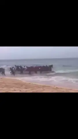 احس براحة من اهاجر🥀#fyp #foryoupage #المهلهل #explore #اكسبلور 