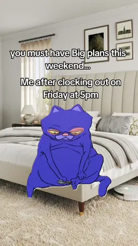 BIG weekend plans  #wfh #wfhlife #wfhproblems 